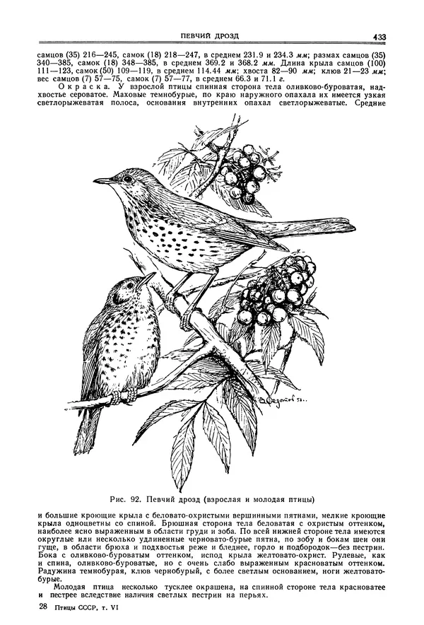  Коллектив авторов - Птицы Советского Союза. Том 6 - Страница № 433
