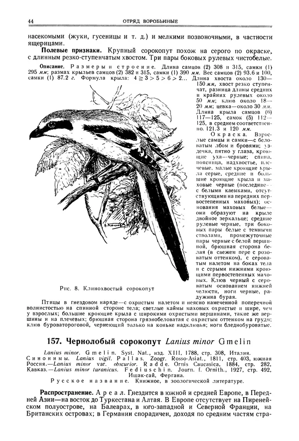  Коллектив авторов - Птицы Советского Союза. Том 6 - Страница № 44