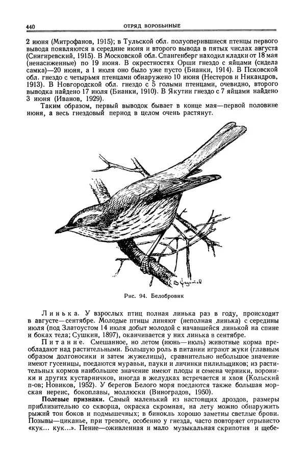 Коллектив авторов - Птицы Советского Союза. Том 6 - Страница № 440