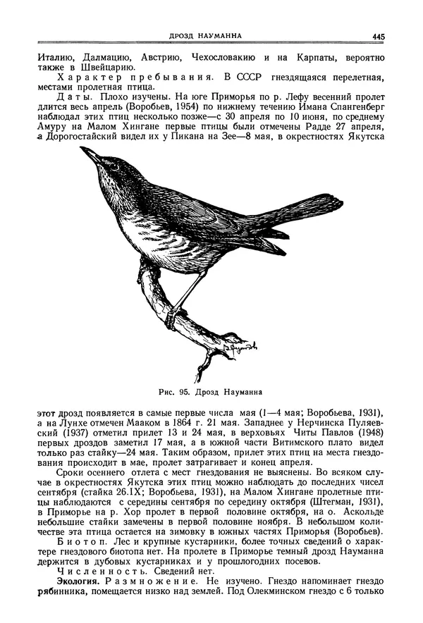  Коллектив авторов - Птицы Советского Союза. Том 6 - Страница № 445