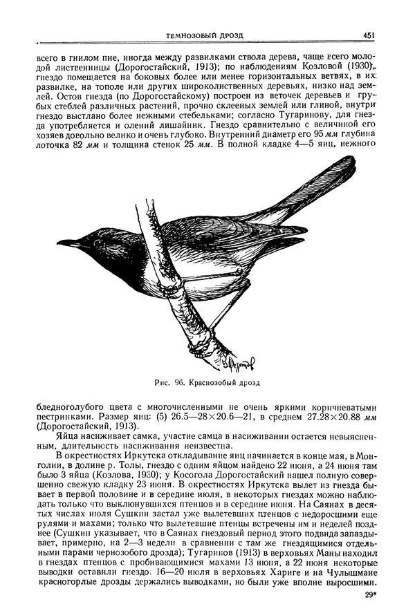  Коллектив авторов - Птицы Советского Союза. Том 6 - Страница № 451