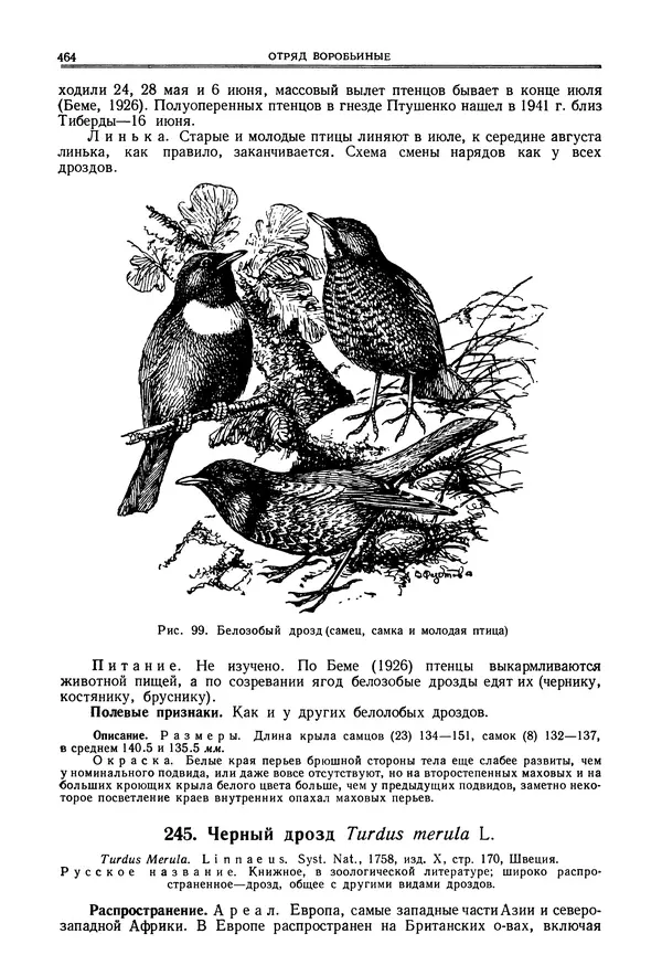  Коллектив авторов - Птицы Советского Союза. Том 6 - Страница № 464