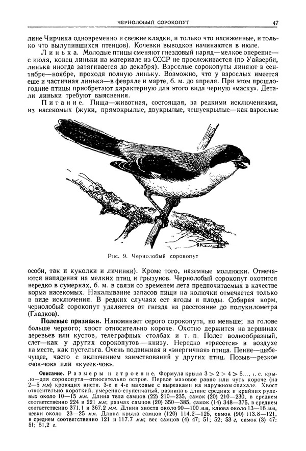  Коллектив авторов - Птицы Советского Союза. Том 6 - Страница № 47