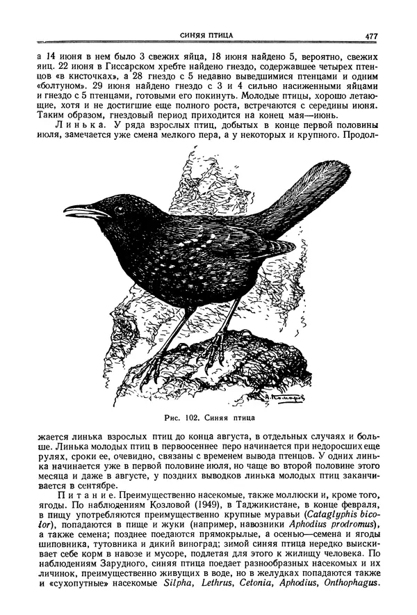  Коллектив авторов - Птицы Советского Союза. Том 6 - Страница № 477