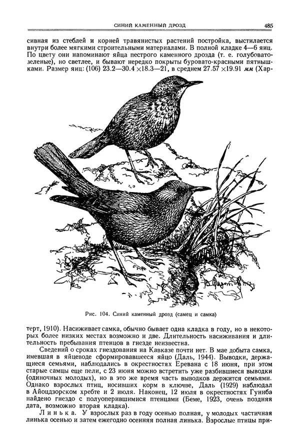  Коллектив авторов - Птицы Советского Союза. Том 6 - Страница № 485