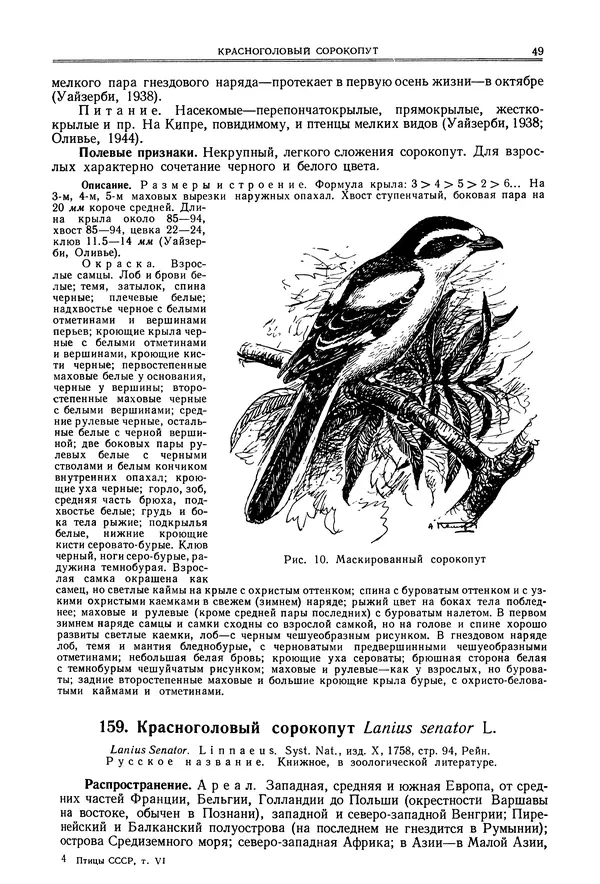 Коллектив авторов - Птицы Советского Союза. Том 6 - Страница № 49