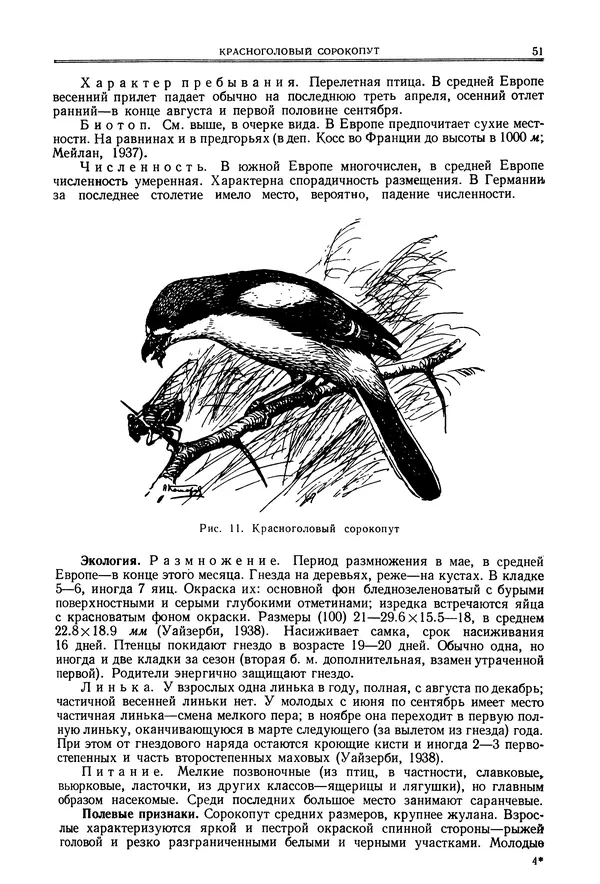  Коллектив авторов - Птицы Советского Союза. Том 6 - Страница № 51
