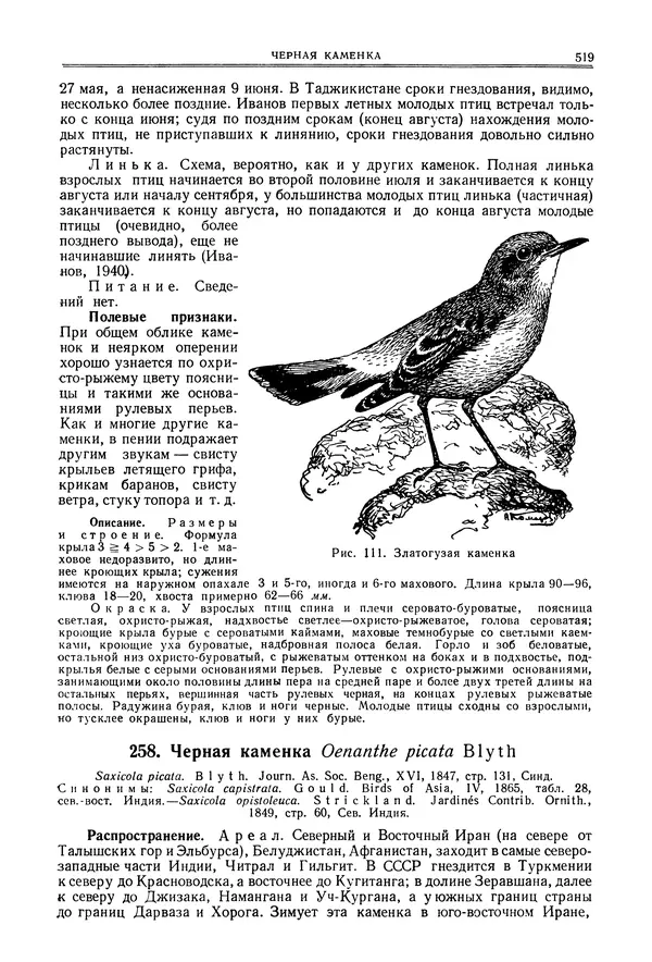  Коллектив авторов - Птицы Советского Союза. Том 6 - Страница № 519