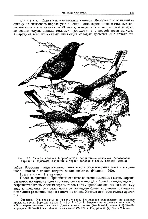 Коллектив авторов - Птицы Советского Союза. Том 6 - Страница № 521
