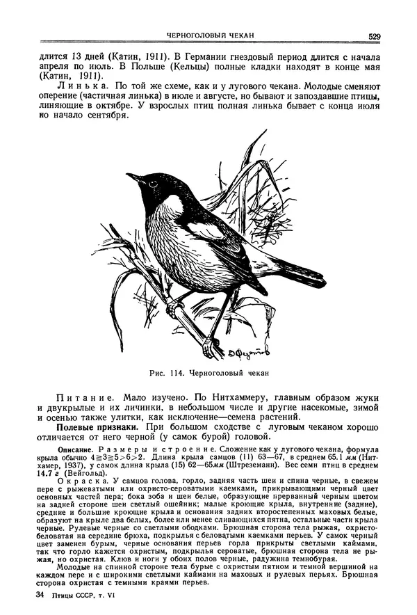  Коллектив авторов - Птицы Советского Союза. Том 6 - Страница № 529