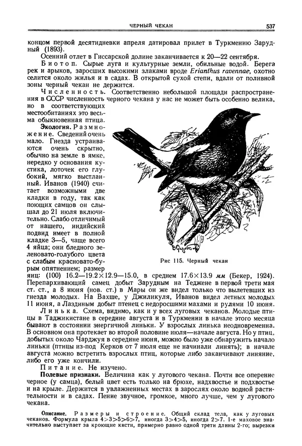  Коллектив авторов - Птицы Советского Союза. Том 6 - Страница № 537