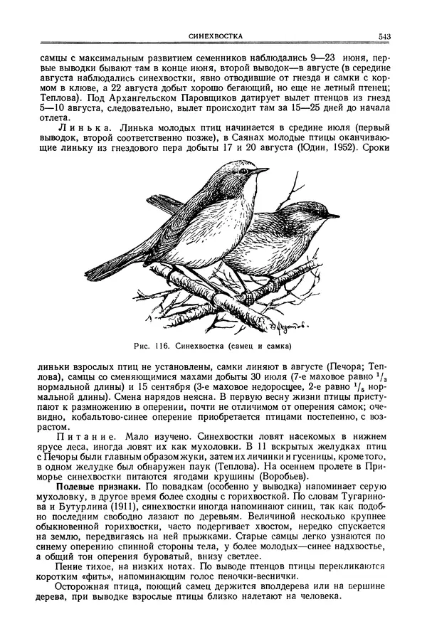  Коллектив авторов - Птицы Советского Союза. Том 6 - Страница № 543