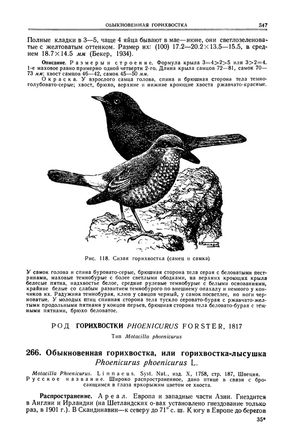  Коллектив авторов - Птицы Советского Союза. Том 6 - Страница № 547