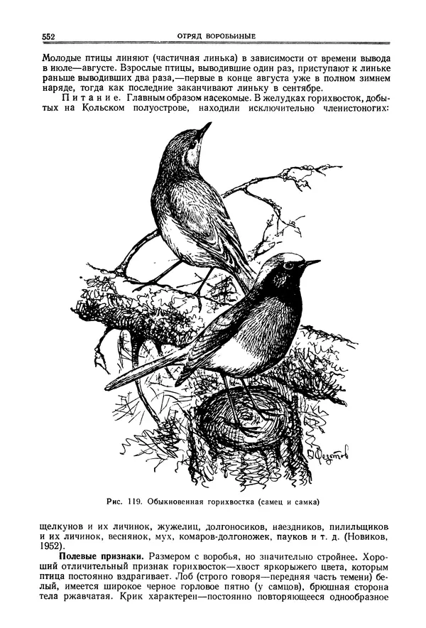  Коллектив авторов - Птицы Советского Союза. Том 6 - Страница № 552