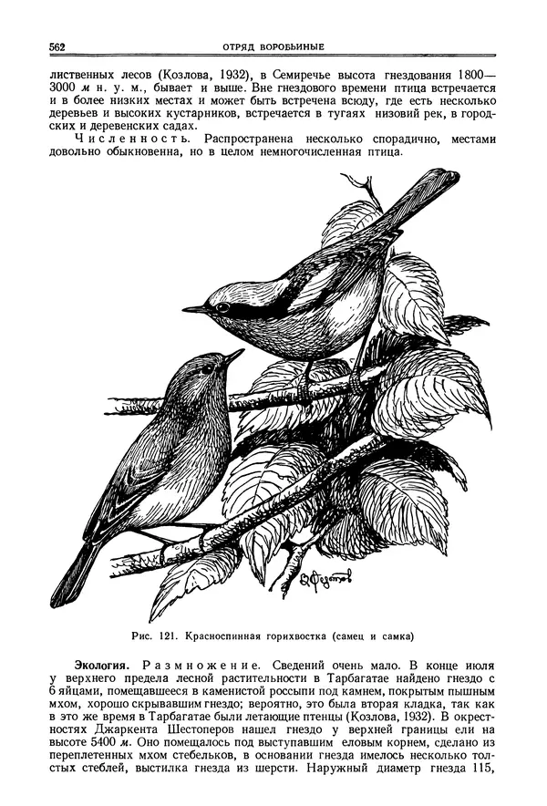  Коллектив авторов - Птицы Советского Союза. Том 6 - Страница № 562