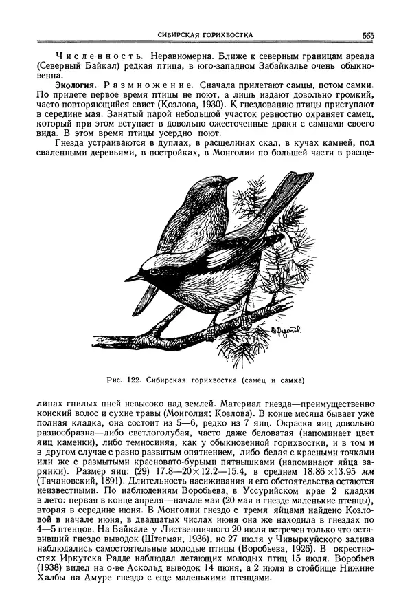  Коллектив авторов - Птицы Советского Союза. Том 6 - Страница № 565