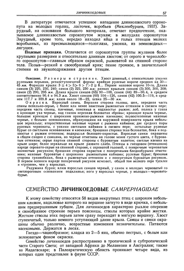  Коллектив авторов - Птицы Советского Союза. Том 6 - Страница № 57