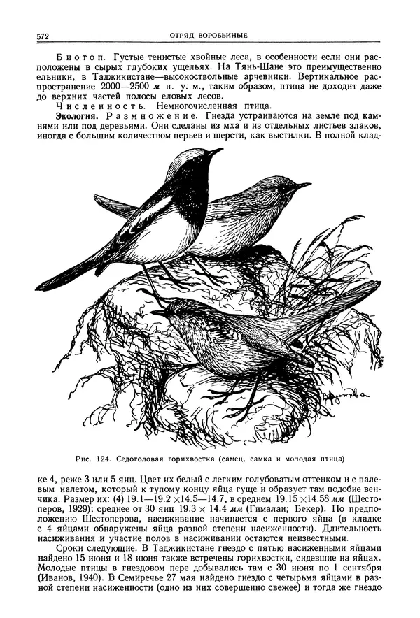  Коллектив авторов - Птицы Советского Союза. Том 6 - Страница № 572
