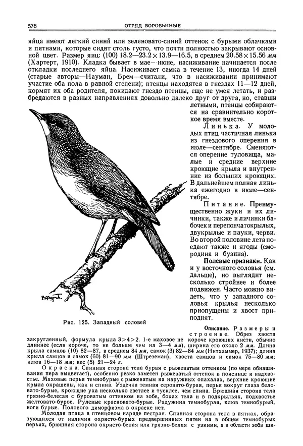  Коллектив авторов - Птицы Советского Союза. Том 6 - Страница № 576