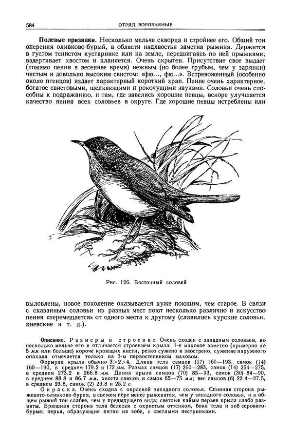  Коллектив авторов - Птицы Советского Союза. Том 6 - Страница № 584