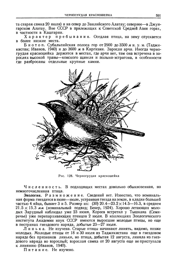  Коллектив авторов - Птицы Советского Союза. Том 6 - Страница № 591