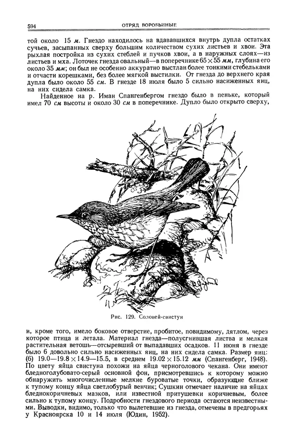  Коллектив авторов - Птицы Советского Союза. Том 6 - Страница № 594