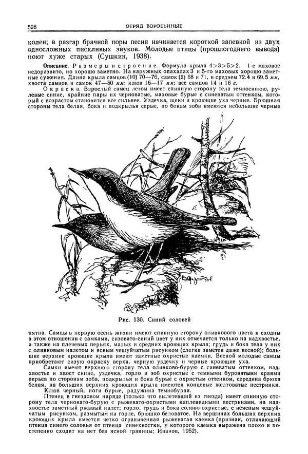  Коллектив авторов - Птицы Советского Союза. Том 6 - Страница № 598