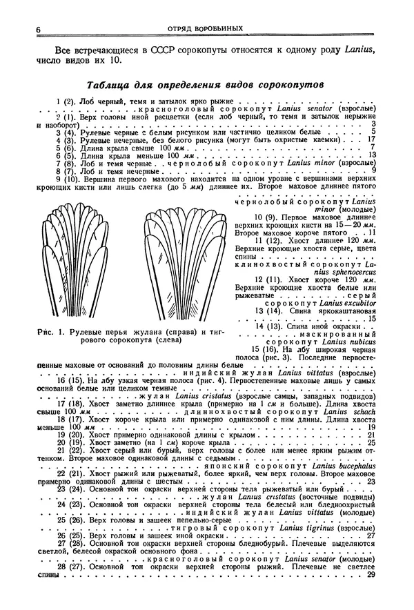 Коллектив авторов - Птицы Советского Союза. Том 6 - Страница № 6