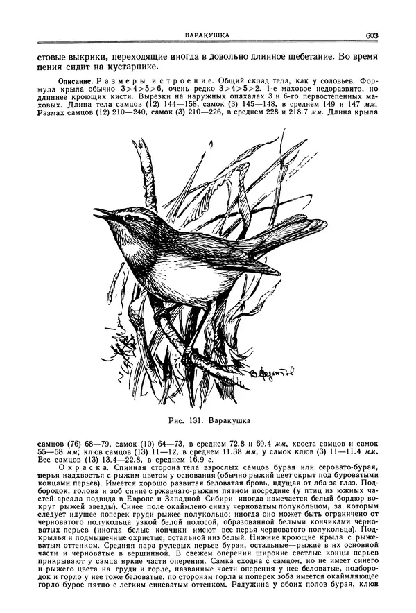  Коллектив авторов - Птицы Советского Союза. Том 6 - Страница № 603