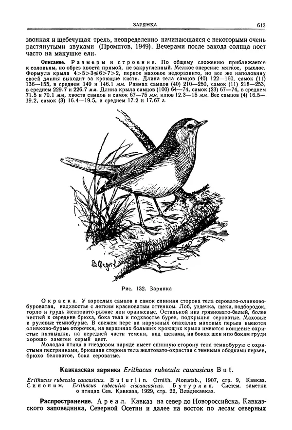  Коллектив авторов - Птицы Советского Союза. Том 6 - Страница № 613