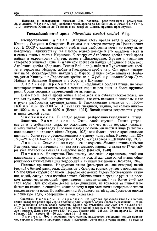  Коллектив авторов - Птицы Советского Союза. Том 6 - Страница № 620