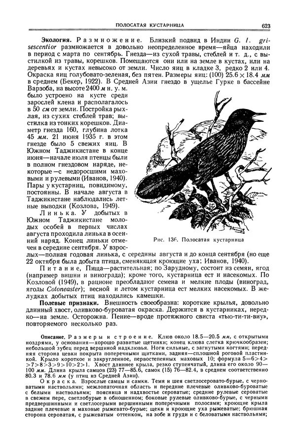  Коллектив авторов - Птицы Советского Союза. Том 6 - Страница № 623