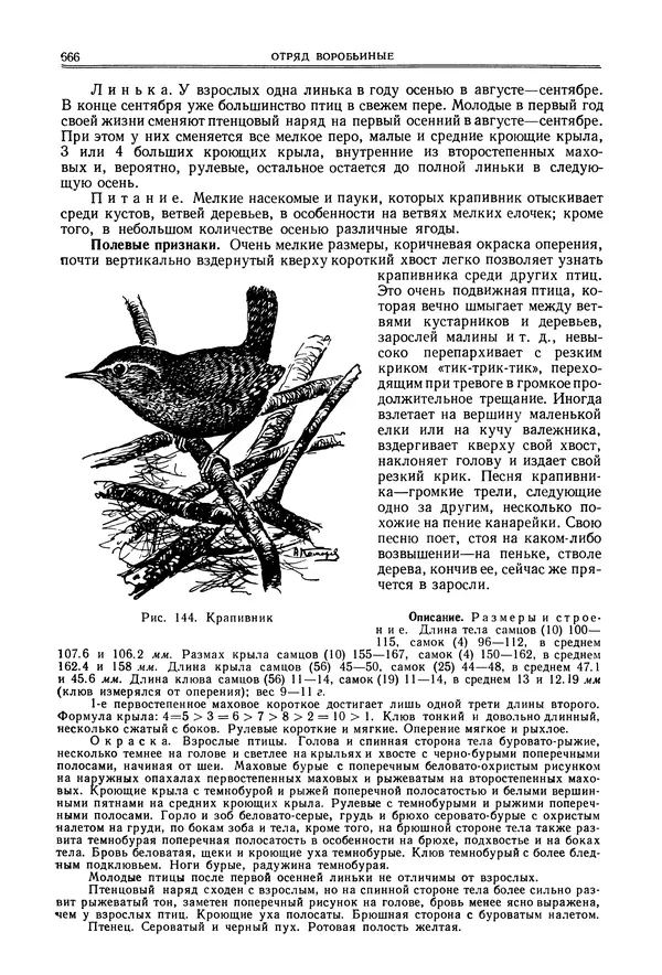  Коллектив авторов - Птицы Советского Союза. Том 6 - Страница № 666