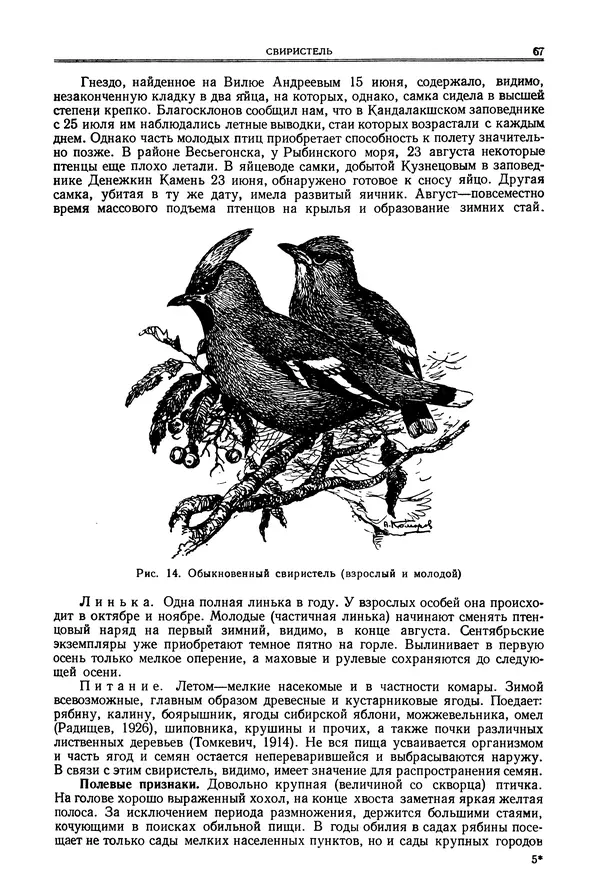  Коллектив авторов - Птицы Советского Союза. Том 6 - Страница № 67