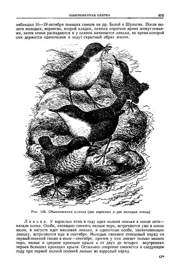  Коллектив авторов - Птицы Советского Союза. Том 6 - Страница № 675