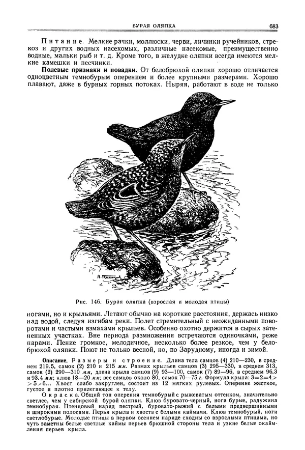  Коллектив авторов - Птицы Советского Союза. Том 6 - Страница № 683