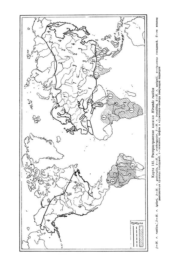  Коллектив авторов - Птицы Советского Союза. Том 6 - Страница № 687