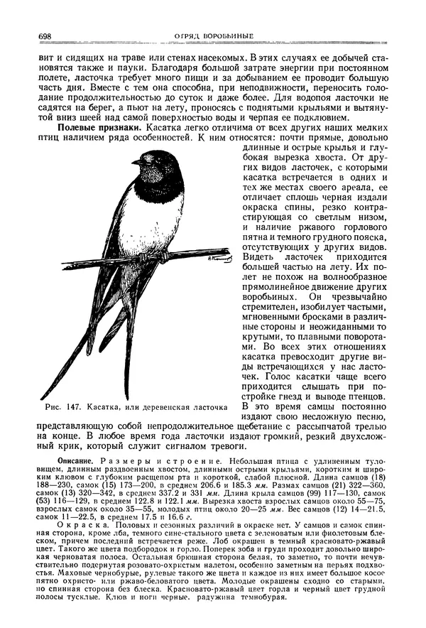  Коллектив авторов - Птицы Советского Союза. Том 6 - Страница № 698