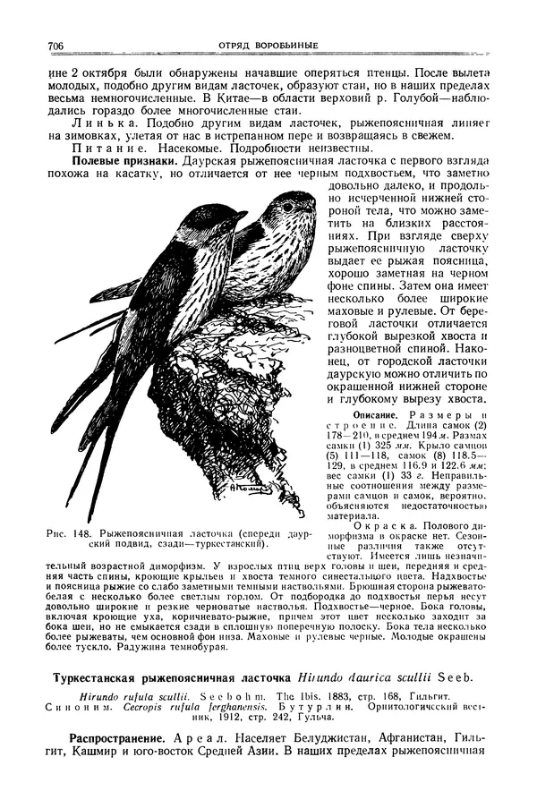  Коллектив авторов - Птицы Советского Союза. Том 6 - Страница № 706