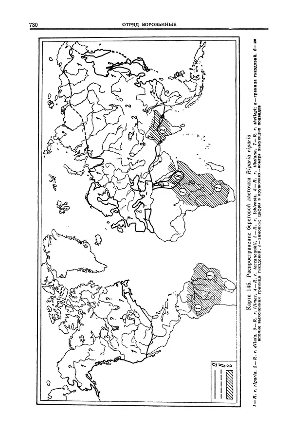  Коллектив авторов - Птицы Советского Союза. Том 6 - Страница № 730