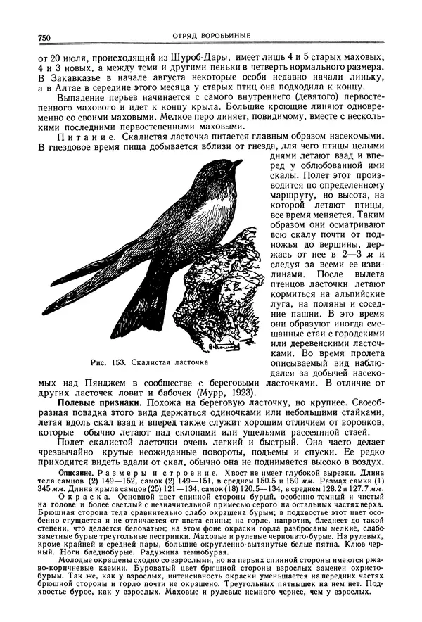  Коллектив авторов - Птицы Советского Союза. Том 6 - Страница № 750