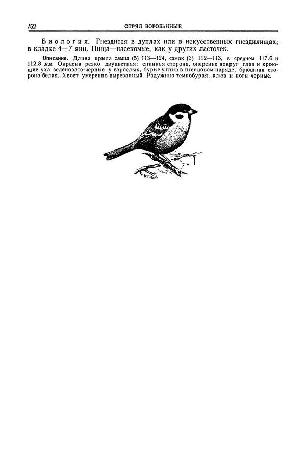  Коллектив авторов - Птицы Советского Союза. Том 6 - Страница № 752