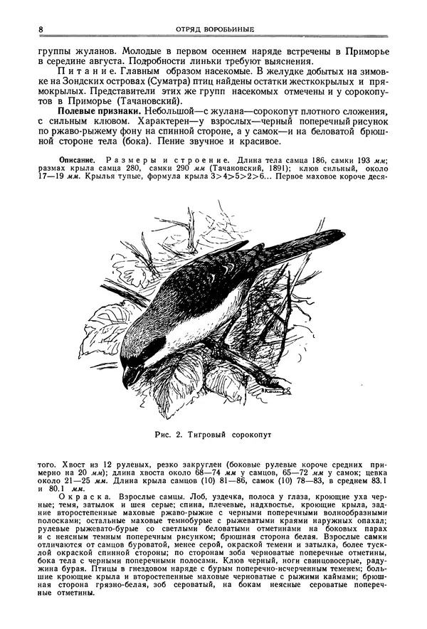  Коллектив авторов - Птицы Советского Союза. Том 6 - Страница № 8