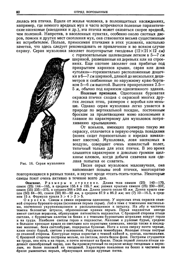 Коллектив авторов - Птицы Советского Союза. Том 6 - Страница № 80