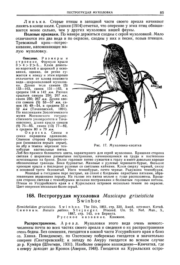  Коллектив авторов - Птицы Советского Союза. Том 6 - Страница № 85