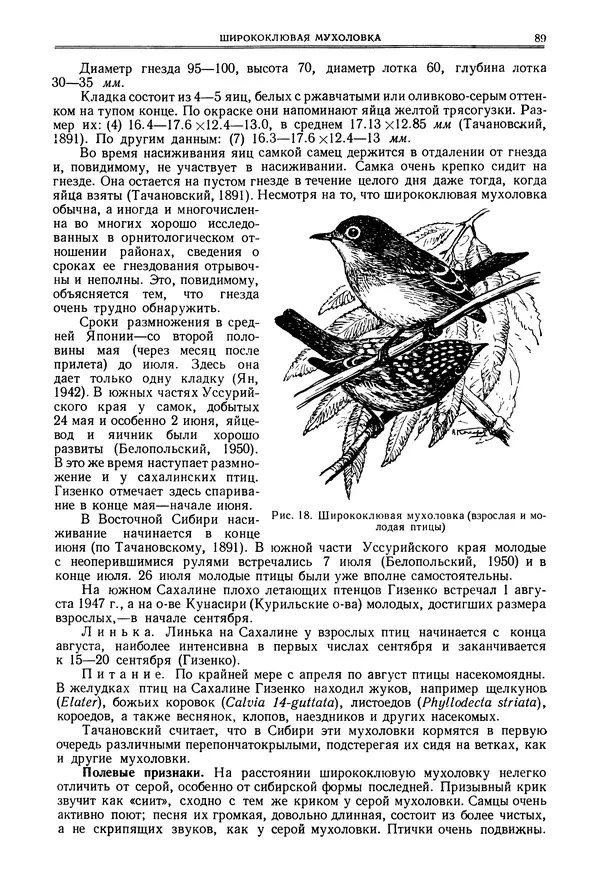  Коллектив авторов - Птицы Советского Союза. Том 6 - Страница № 89