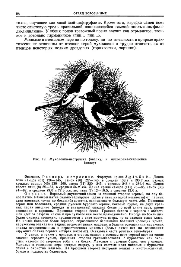  Коллектив авторов - Птицы Советского Союза. Том 6 - Страница № 98