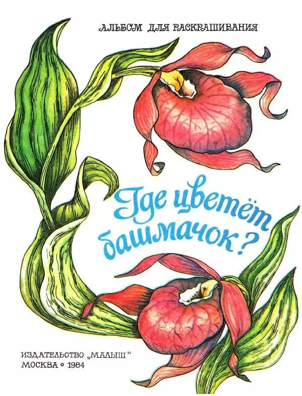 Борис Александров - Где цветёт башмачок? - Страница № 1