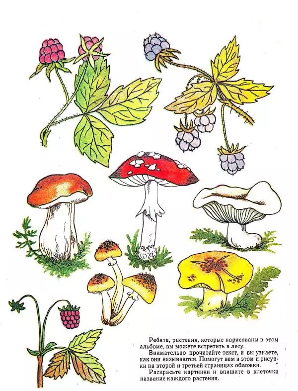 Борис Александров - Где цветёт башмачок? - Страница № 2