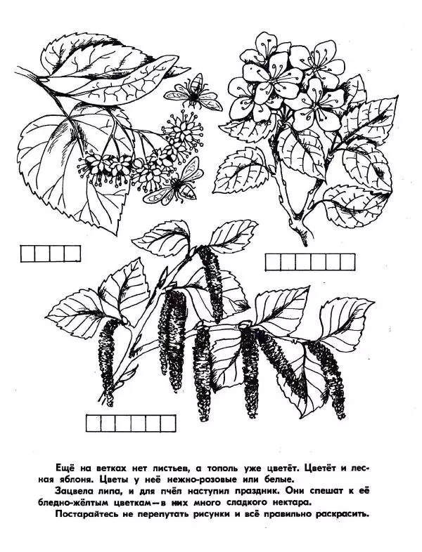 Борис Александров - Где цветёт башмачок? - Страница № 3